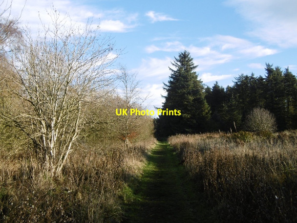 Photo 6"x4" Path, Cameron Reservoir Radernie\/NO4709 c2015