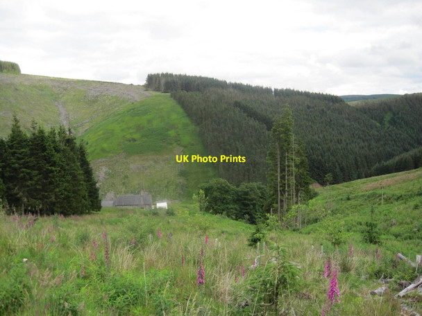 Photo 6"x4" Whiteburnshank and the East Burn Valley Barrow Burn\/NT8610 c2015