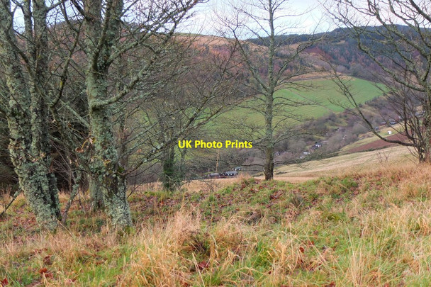 Photo 6"x4" Northwestern edge of Iron Age settlement, Janet's Brae Peebles\/NT2540 c2015