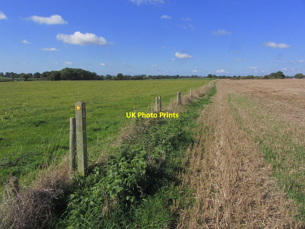 Photo 6"x4" On the S Cheshire Way, SE of Mickley Hall, Broomhall Hack Green c2015