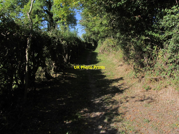 Photo 6"x4" On the Offa's Dyke Path near Neath Bridge, E of Arddleen Rhos\/SJ2717 c2015