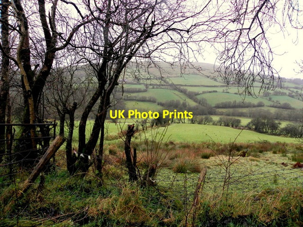 Photo 6"x4" Curraghinalt Townland Greencastle\/H5982 c2015