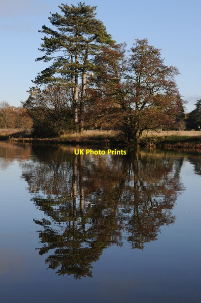 Photo 6"x4" Trees reflected in Croome River Dunstall Common c2015