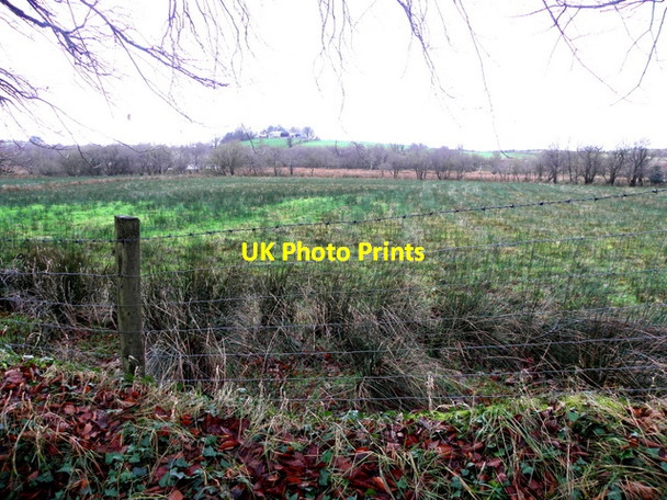 Photo 6"x4" Rushy ground, Ballyreagh Tempo c2015