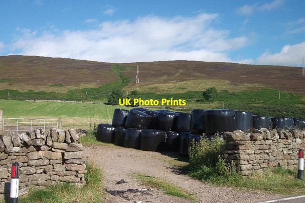 Photo 6"x4" Silage bales, Ballinreach Achrimsdale c2015