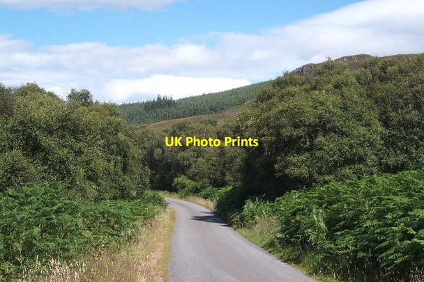 Photo 6"x4" Road beside Loch Brora Gordonbush c2015