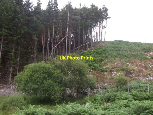 Photo 6"x4" Clear fell, Strath Brora Dalreavoch c2015