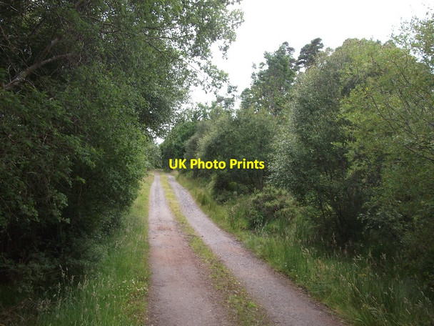 Photo 6"x4" Road to Dalreavoch Lodge Dalreavoch c2015