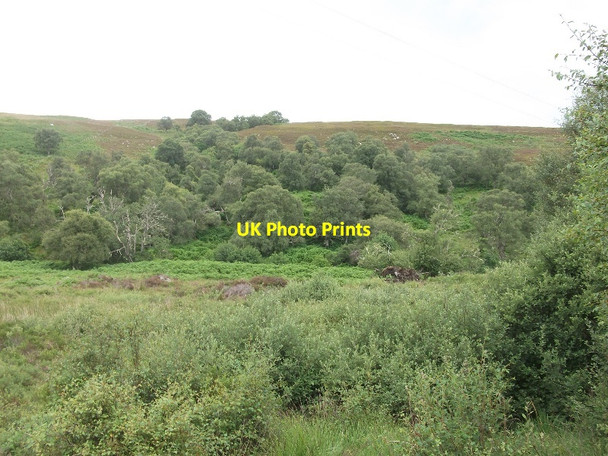 Photo 6"x4" Strath Brora road Dalreavoch c2015