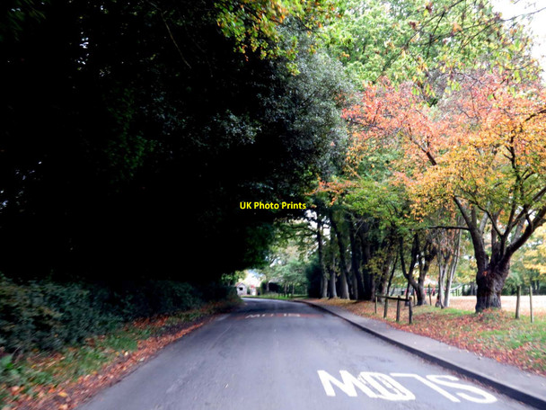 Photo 6"x4" The road through Checkendon Checkendon c2015