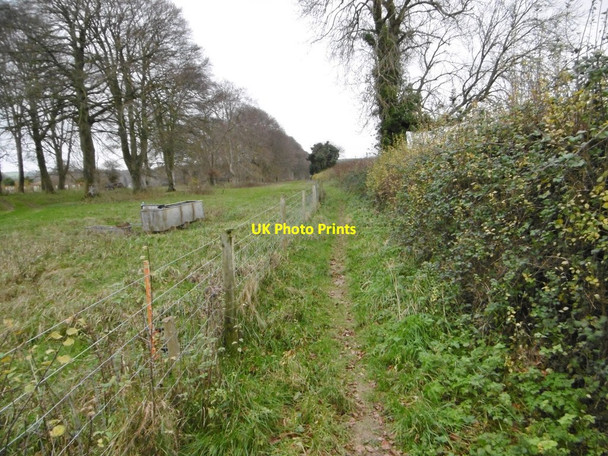 Photo 6"x4" Tarrant Gunville, footpath Tarrant Gunville c2015