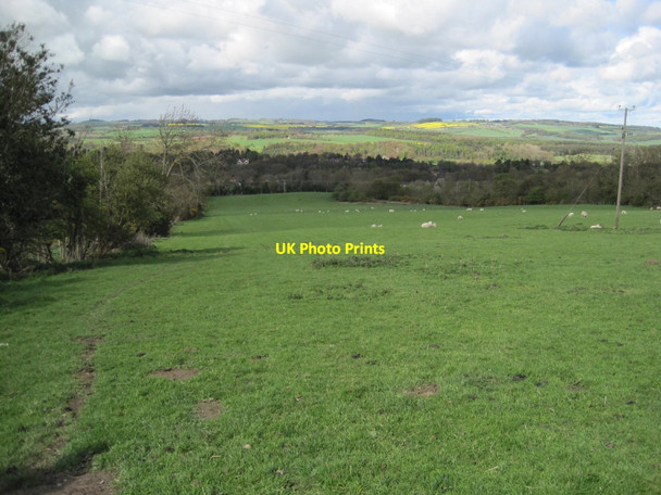 Photo 6"x4" Footpath towards Riding Mill Broomhaugh c2015