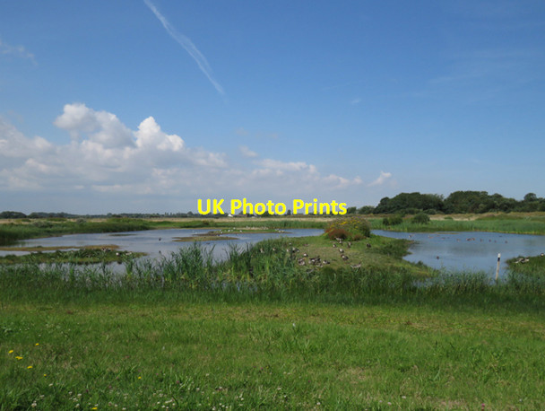 Photo 6"x4" The Scrape at Sandwich Bay bird reserve Sandwich Bay Estate c2015
