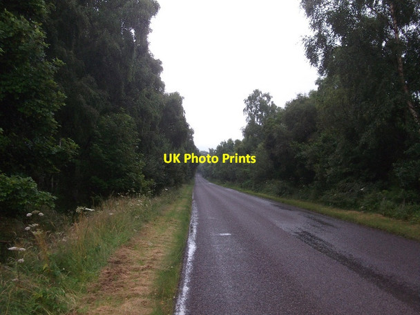 Photo 6"x4" A839, Strath Fleet Little Torboll c2015