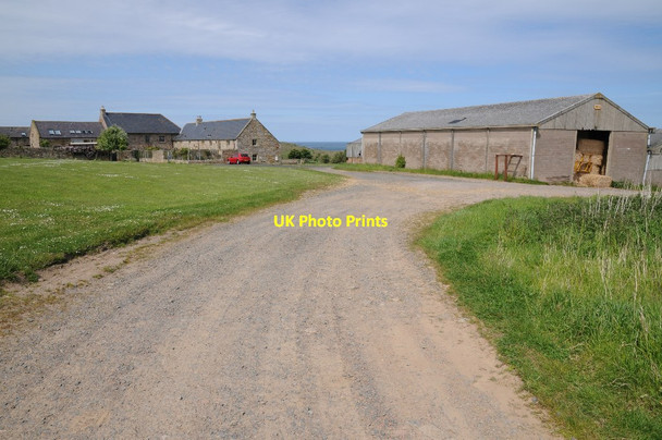 Photo 6"x4" Dunstan Steads Embleton\/NU2322 c2015