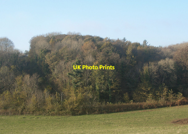 Photo 6"x4" Coed Cwintin from the south Merthyr Mawr c2015