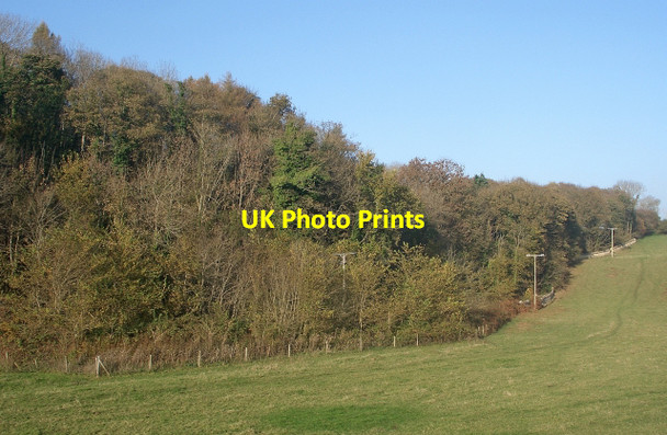 Photo 6"x4" Coed Cwintin: southern end Merthyr Mawr c2015