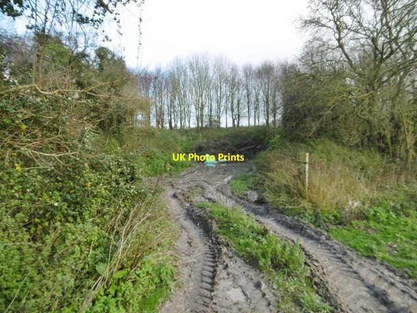 Photo 6"x4" Shapwick, disused pit Shapwick\/ST9301 c2015