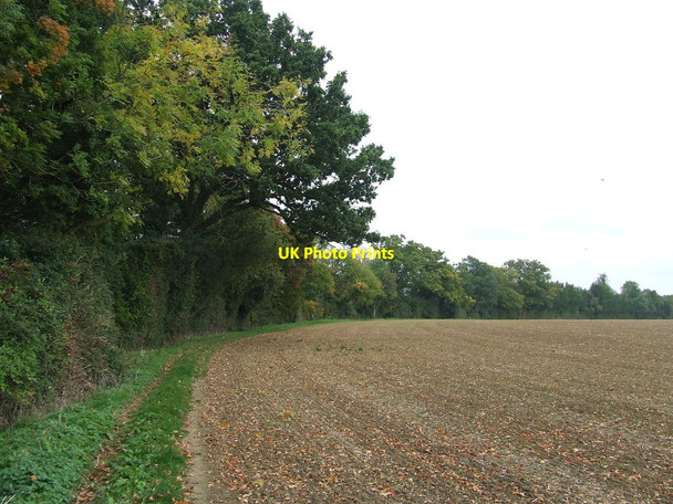 Photo 6"x4" Curving Footpath Frogs' Green c2015