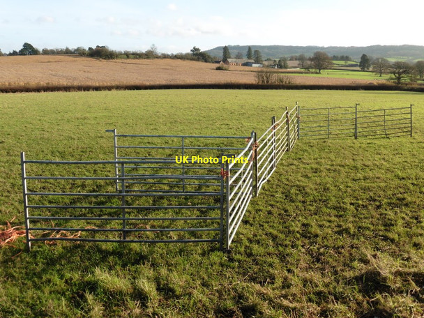 Photo 6"x4" View towards Middle Green Farm Wellington\/ST1420 c2015