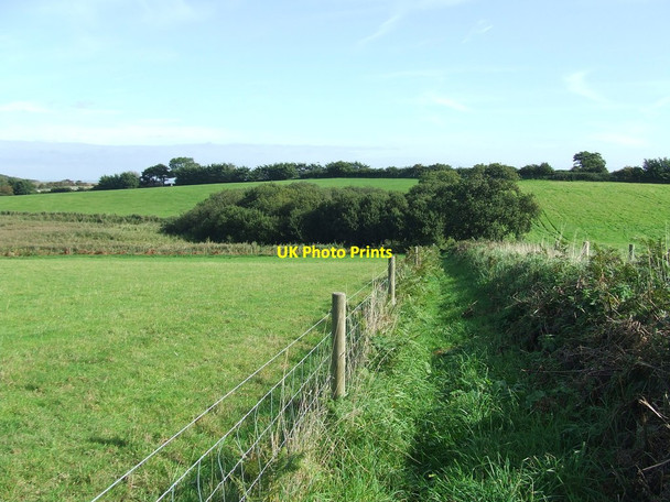 Photo 6"x4" Green Path Southwold c2015