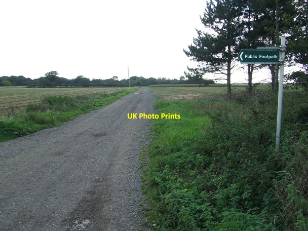 Photo 6"x4" Footpath Sign And Track Covehithe c2015