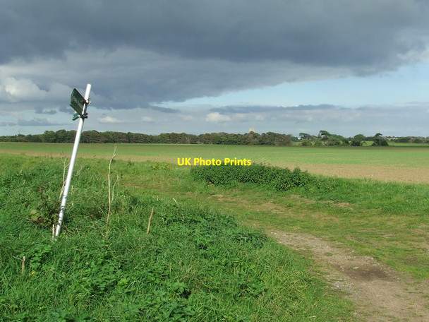 Photo 6"x4" Sign And Dark Skies Covehithe c2015