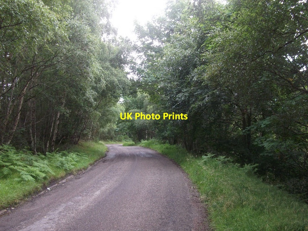 Photo 6"x4" Kildary to Lamington Road Kildary c2015