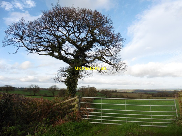 Photo 6"x4" Farmland, near Hallhayes Nicholashayne c2015