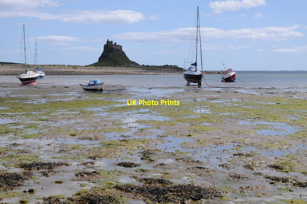 Photo 6"x4" View to Lindisfarne Castle Holy Island\/NU1241 c2015