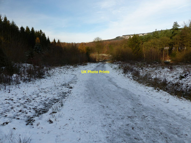 Photo 6"x4" Macclesfield Forest after snow Langley\/SJ9471 c2015