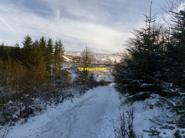 Photo 6"x4" Nessit Hill in snow Langley\/SJ9471 c2015