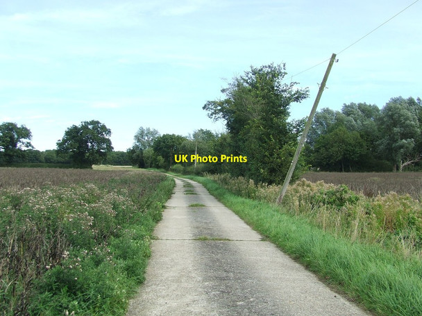 Photo 6"x4" The Leaning Pole Of Hempstead Hempstead\/TL6338 c2015