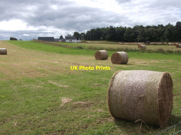 Photo 6"x4" Hay, Northfield Badachonacher c2015