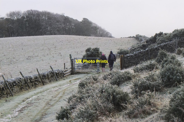 Photo 6"x4" Old drove road to Peebles, Hamilton Hill Peebles\/NT2540 c2015
