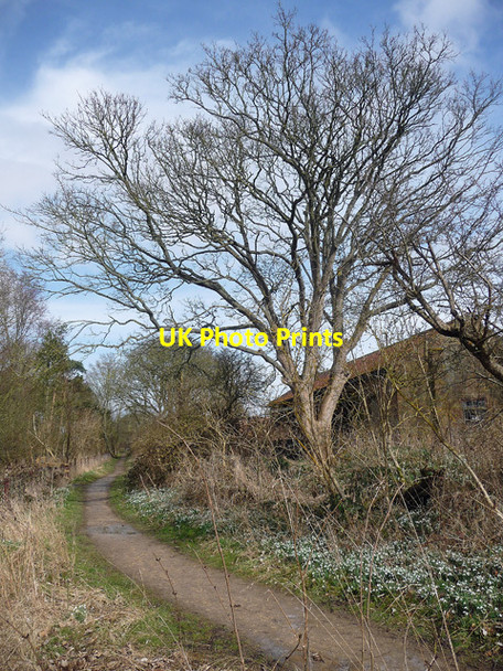 Photo 6"x4" Path, Gibraltar Point (1) Seacroft\/TF5660 c2013
