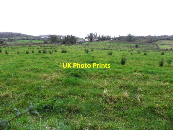 Photo 6"x4" Rushy ground, Ardalougher Irvinestown c2015