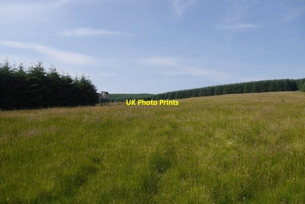 Photo 6"x4" Wetland, Lomond Hills Auchmuirbridge c2015