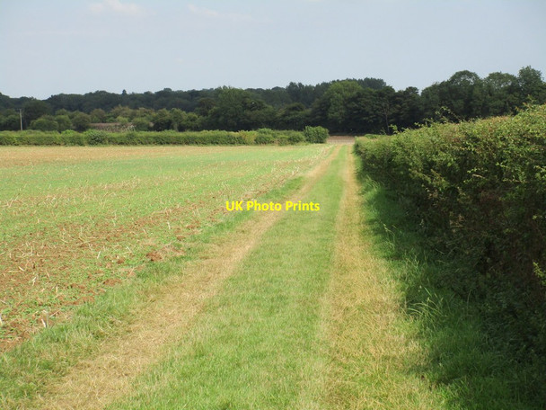 Photo 6"x4" Footpath to Burnt Leys and Steetley Hodthorpe c2015
