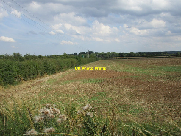 Photo 6"x4" Behind the hedge Darfoulds c2015