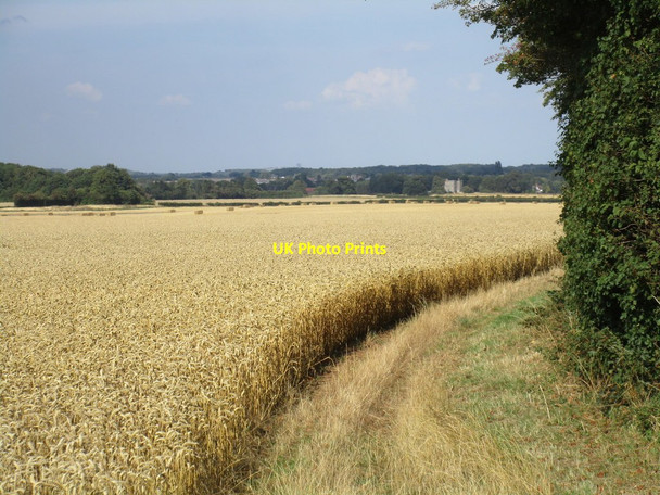 Photo 6"x4" Footpath off Dumb Hall Lane Darfoulds c2015
