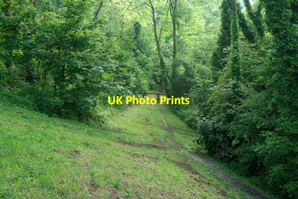 Photo 6"x4" Path through woods above Eastbourne Meads\/TV6097 c2010