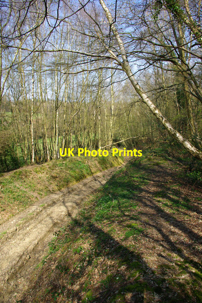 Photo 6"x4" Bridleway towards Old Mill Heathfield\/TQ5821 c2007