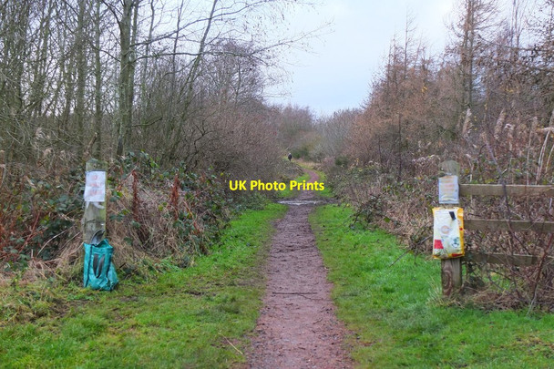 Photo 6"x4" Dog waste disposal point, Roslin Loanhead\/NT2765 c2015