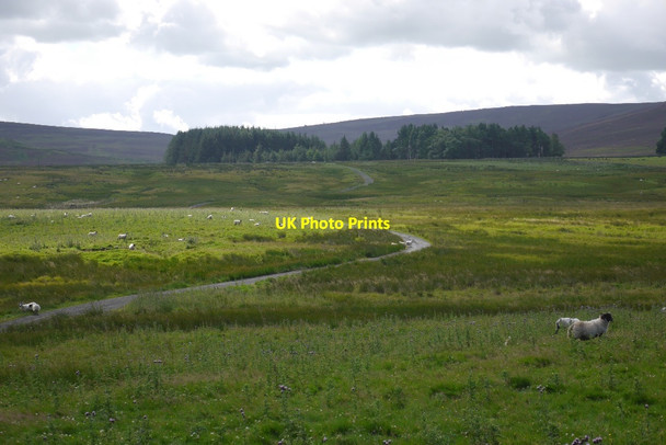 Photo 6"x4" Road to Listonshiels Glenbrock c2015