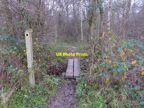 Photo 6"x4" Footpath enters Marringdean Wood Billingshurst c2015