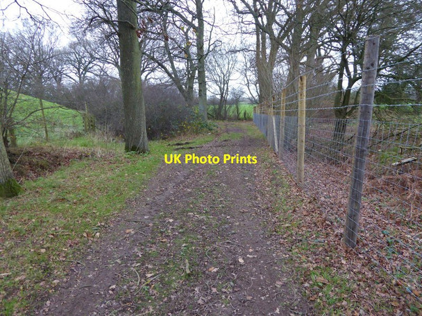 Photo 6"x4" Short stretch of footpath between bends North Heath\/TQ0621 c2015