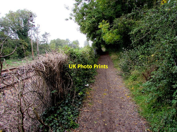 Photo 6"x4" Lineside path towards Ryde Ryde c2015