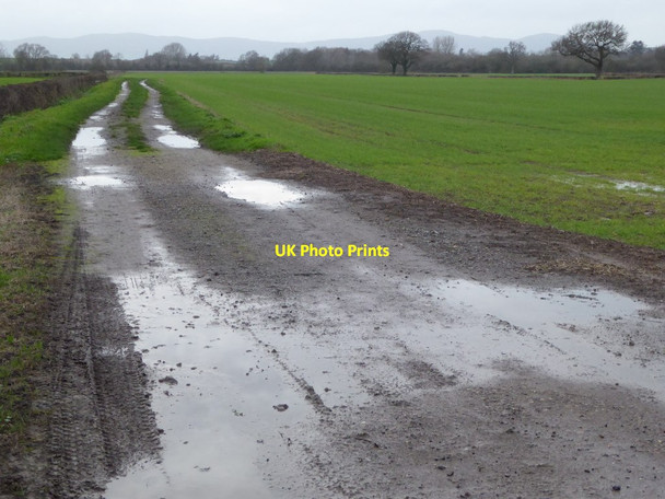 Photo 6"x4" Farmland track, Hill Croome Baughton c2015