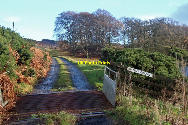 Photo 6"x4" A farm road up Gate Hope Holylee c2015